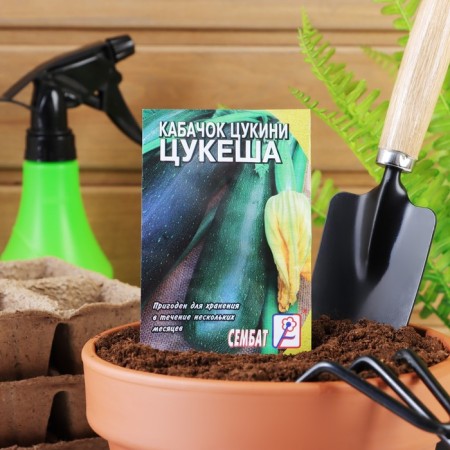 Zucchini zucchini seeds "Tsukesh", 2 g
