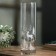 Vase for flowers New Year's "Deer", for the New Year, glass, height 26.5 cm.