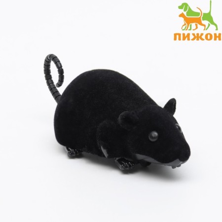 Barrow mouse, 12 cm, black
