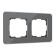 Frame W0022440, 2 Elite sockets, graphite, glass