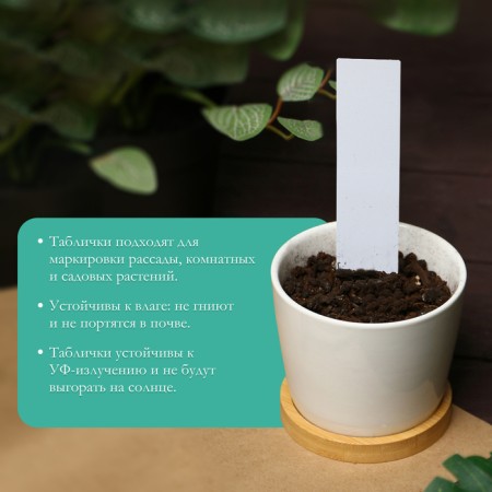 Garden tags for marking, 20 cm, set 10 pcs., Plastic, white, Greengo-2