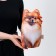Antistress toy "Fluffy Spitz"