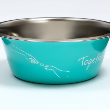 Standard bowl "Together Forever", 350 ml, mint-3