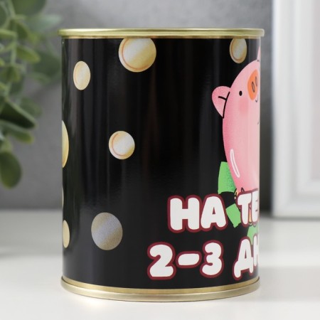 Pig a Pig Bank "for the same 2-3 days"-2