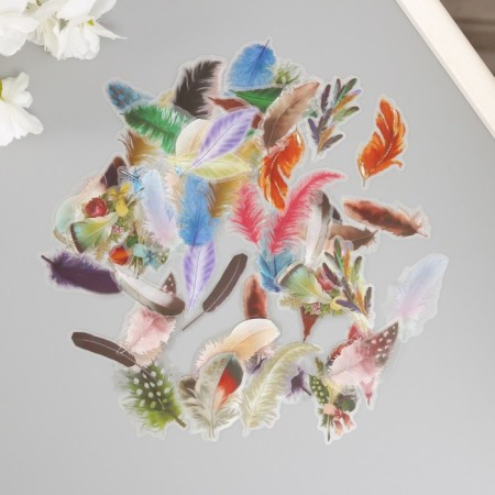 Stickers for creativity PLC PVC "Bright feathers" set 60 pcs 10x14 cm-1