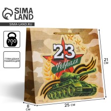 Gift Laminated Horizontal Package, Packaging, Tank, ML 25 x 21 x 8 cm