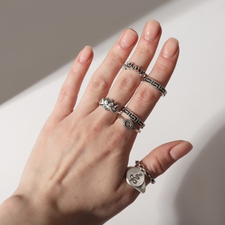 Ring set 8 pieces "Nature", size mix, color black silver-3