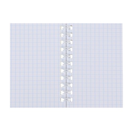 Notebook, A7, 40 sheets, in a cage, on a crest, "Koshariki", cover coated cardboard, OFSET block, mix-3