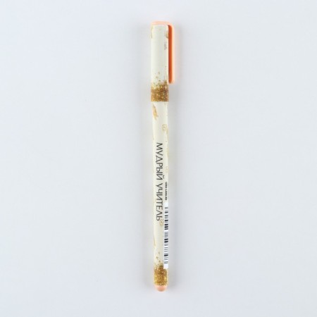 Pen Plastic "Wise Teacher", Blue Paste, 0.7 mm-4