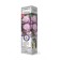 Clematis large -flowered "Veronika Chois" 1 pc, tube, spring 2025