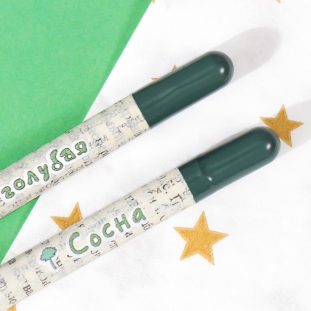 Growing gift pencils mini "blue spruce + pine" set 2 pcs.-4