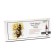Elixir "Elsam. Propolis Forte-Bronho ”with propolis and vitamin C, healthy lungs, 10 bottles of 10 ml