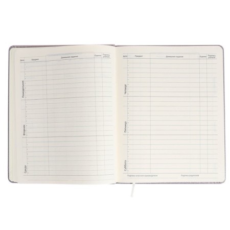 Universal diary for Umbrella 1-11 grade, hard cover, artificial leather, foam rubber, lies, 80 g/m2-6