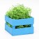 Filling paper, green linden, 1000 g