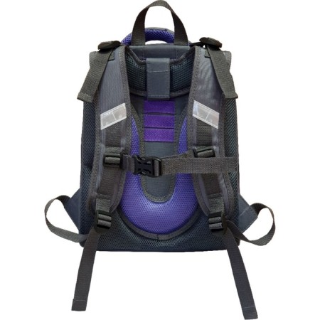 School backpack 38 x 30 x 16 cm, ergonomic back, stavia "cat", multicolor/gray-2
