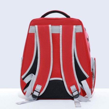 Backpack for carrying "cat", transparent, 32 x 28 x 42 cm, red-2