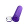 Rosa Rugosa Mini Bar sex toys container