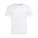 Male T-shirt Collorista, density 145g/m2, white color, size 50-52