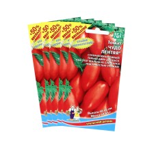 Seeds Tomat 
