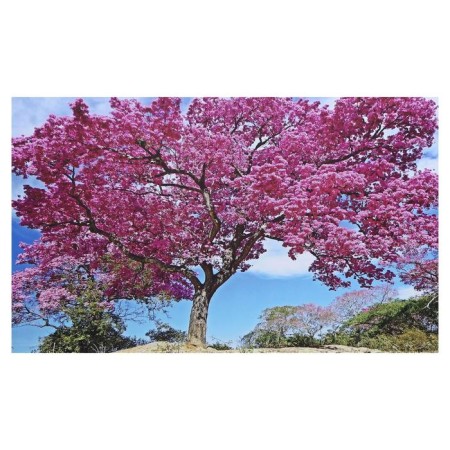 Picture on canvas "Ant Tree" 60x100 cm