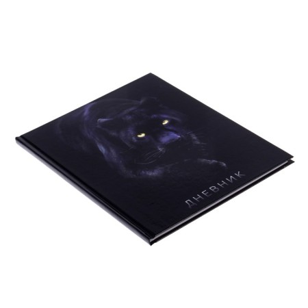 Diary for grades 5-11, Panther, solid cover 7BC, glossy lamination, 48 sheets-1
