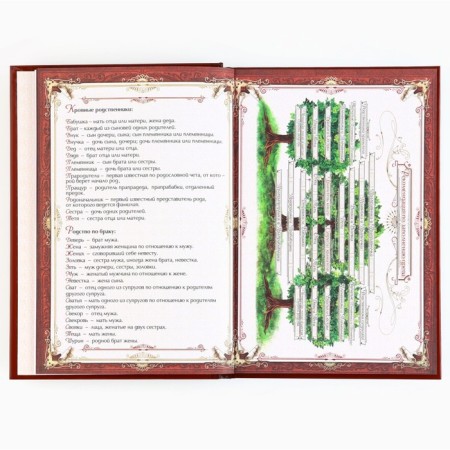 Подарочный набор родословная книга в шкатулке «Дед мороз»-13
