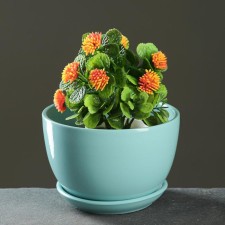 Flower pot 