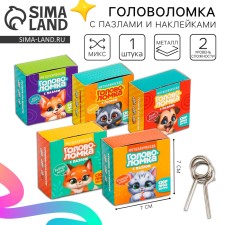 Metal puzzle with puzzles and stickers 