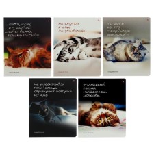 Notebook of 48 sheets in the cage 