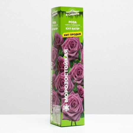 Saphenet Rosa Kul Water Spring 2024, 1 pc.
