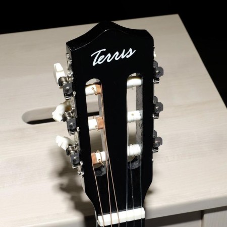 Classical guitar Terris TC-3801A BK-1
