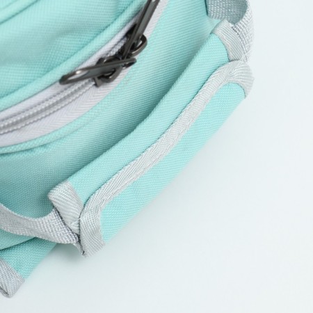 A backpack for carrying animals with a viewing window, green-9