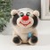 Growing gift Eco -Zhizhivchik "Panda" mix