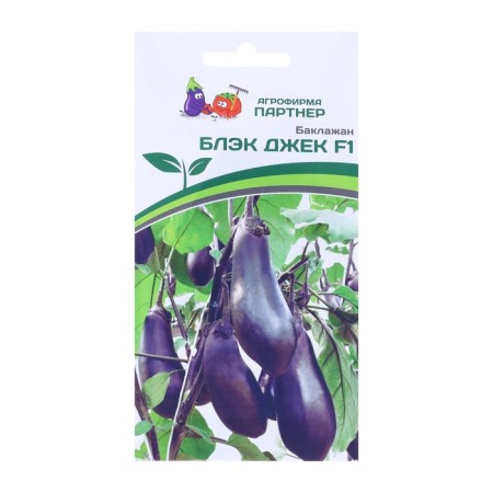 Eggplant Black Jack F1 10 pcs double bag