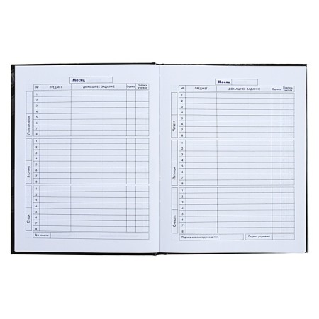 Diary for grades 5-11, 48 sheets "Duck Frick", solid cover, glossy lamination-8