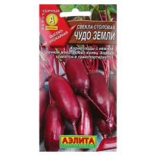 Seeds of beetroot dining room 
