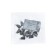 Cargo fang, 12 g