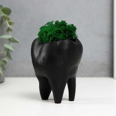 Concrete Kashpo "tooth" with moss black 7.5x6.5x9.5 cm (moss green stabilized)-2