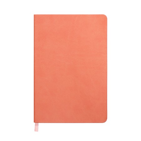 Leduced Diary A5, 140l, Cage, leatherette, elastic band, turquoise slice, peach-2