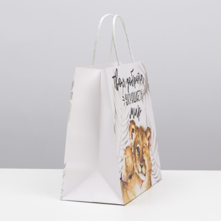 Gift package, packaging, "Kindness", 22 x 22 x 11 cm-1