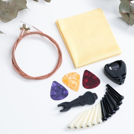 A set of accessories for Music Life guitar, initial-1