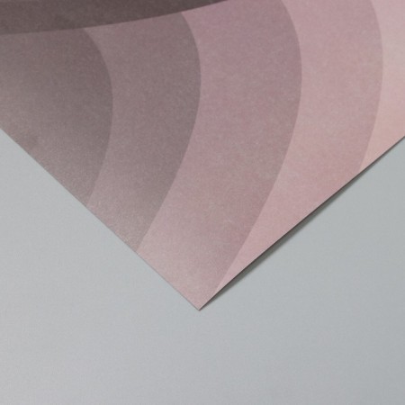 Scrapbooking paper "petals" density 180 grams set 5 pcs 30.5x32 cm-3