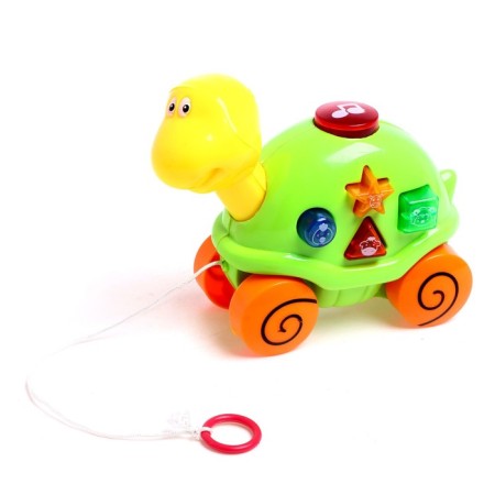 Musical toy "Musical Turtle", sound, light, color mix-3