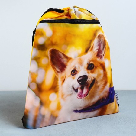 Back for shoes "Funny Corgi" 2 sections, 30 x 40 cm-1