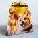 Back for shoes "Funny Corgi" 2 sections, 30 x 40 cm