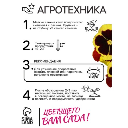 Viola seeds "Maya Wittroka", 0.05 g-3