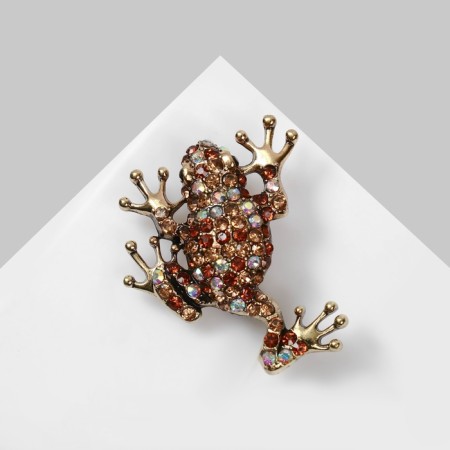 Brooch "Frog" chess, color rainbow-brown in black gold-2