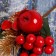 Decor "Winter charm" flowers of berries of needles gold, 13 cm