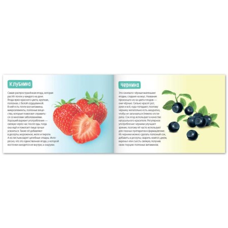 The training book "Useful Berries", 20 p.-1