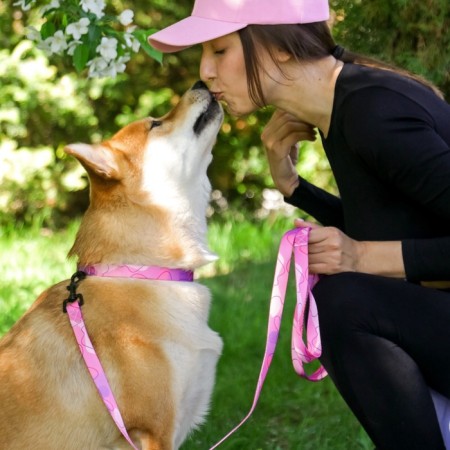 Set "Tenderness", fastener - Fastex, leash 2 m and collar 28-46 cm-12